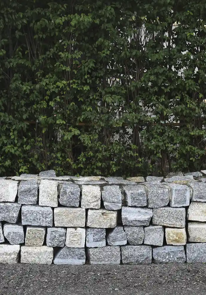 social-proof-img-add-lp-5