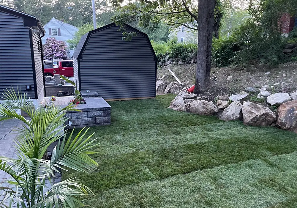 photo-grass-01
