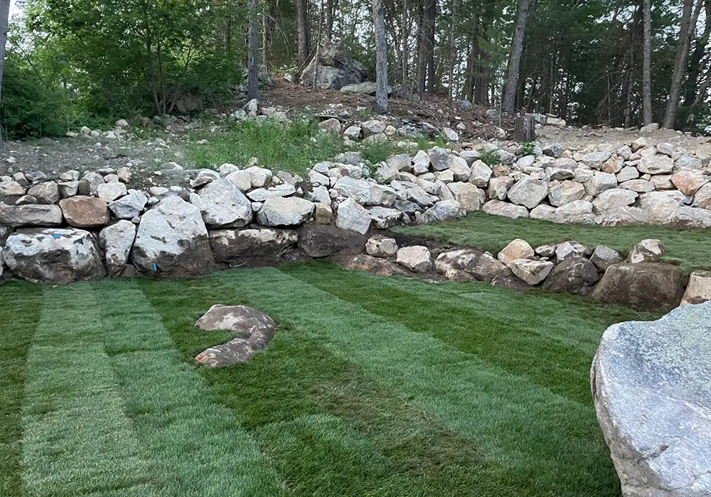 photo-grass-02