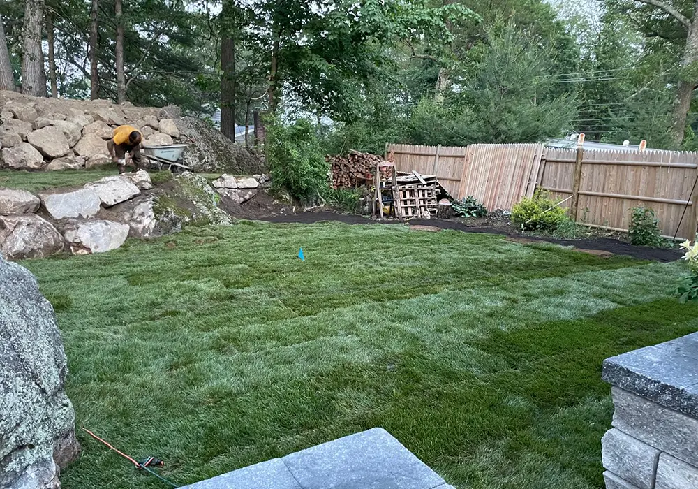 photo-grass-03