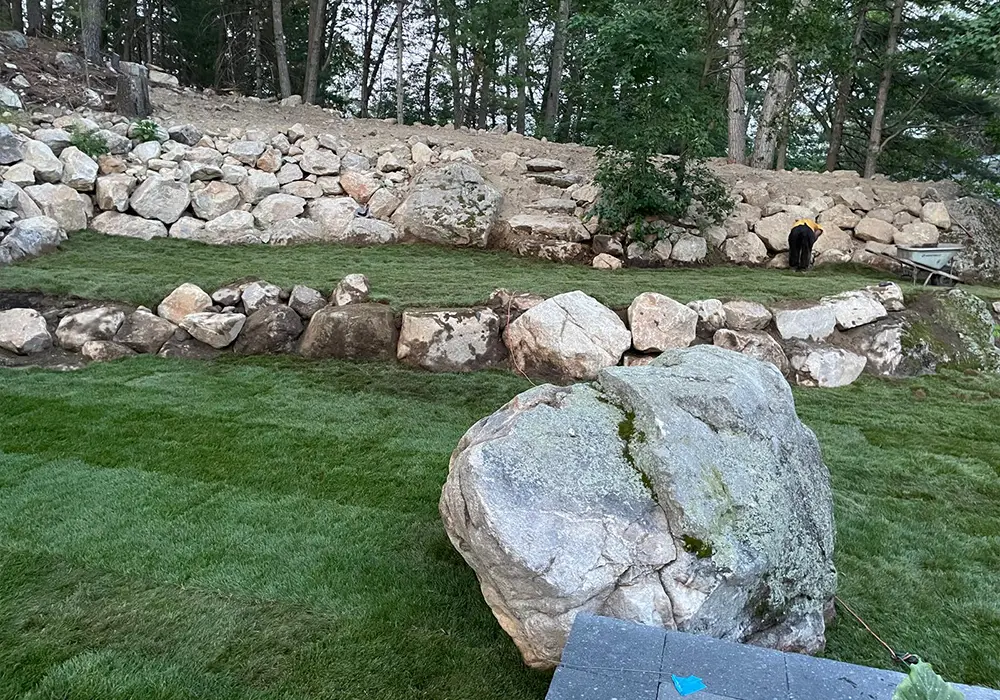 photo-grass-04