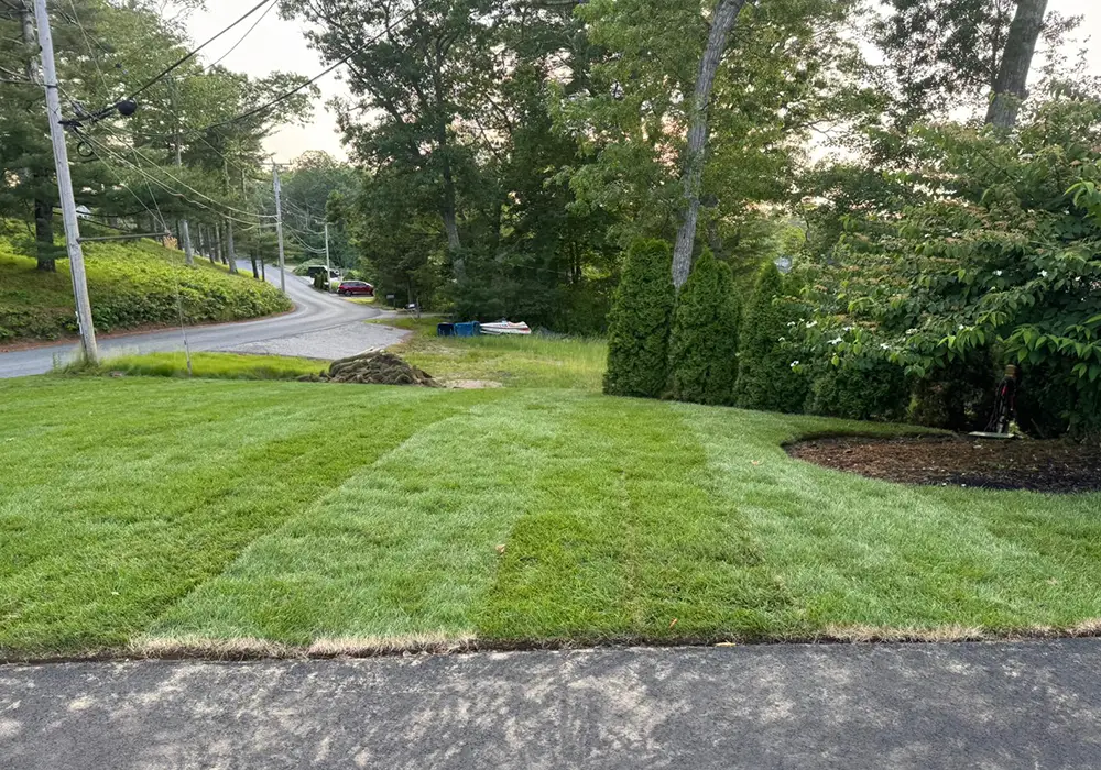 photo-grass-06