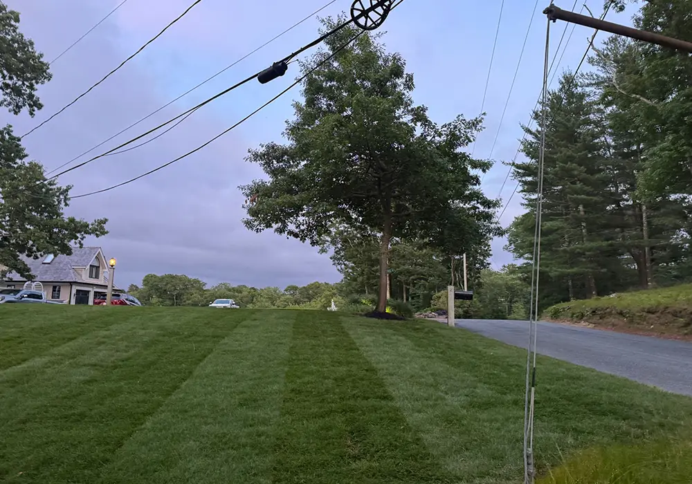 photo-grass-08