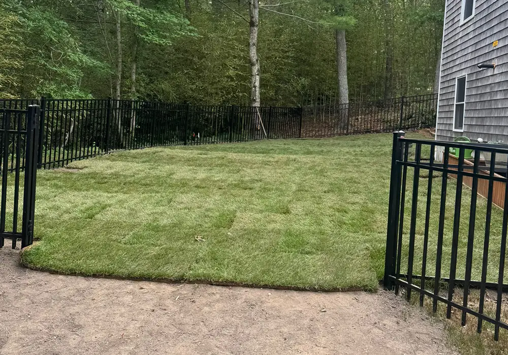 photo-grass-09