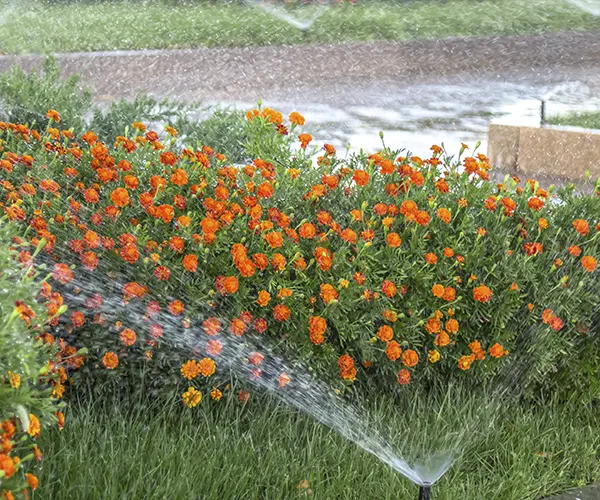 flower-bed-space-img-greener