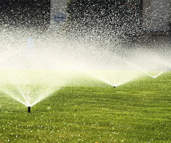 lawn-space-img-greener